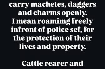 ”Are cattle rearers and pastors not equal citizens?”- Acor Gideon Okeke asks why cattle rearers can move about with arms but pastors can’t