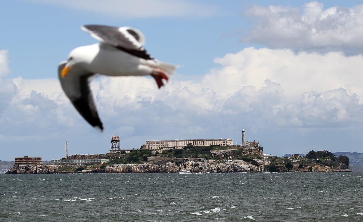 An April 7, 2011, file photo, showing a seagull flying near the former Alcatraz prison in San Francisco, Calif.
