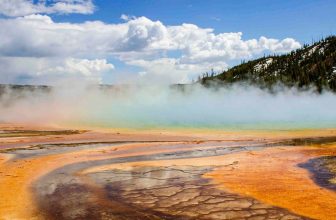 These Newly Discovered Cells Breathe in Two Ways