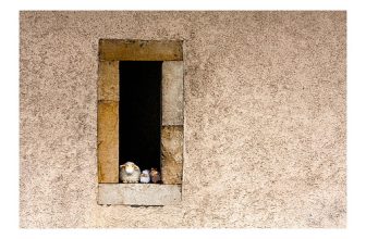 La famille Mouton