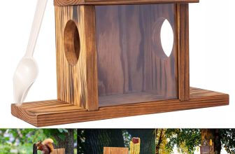 Outdoor Garden Squirrel Feeder Food Storage Box Hanging Station with Lift-Up Lid