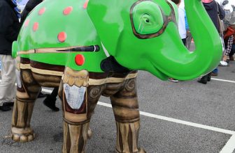 Herd of Sheffield 2016 – 20. SnookHerd