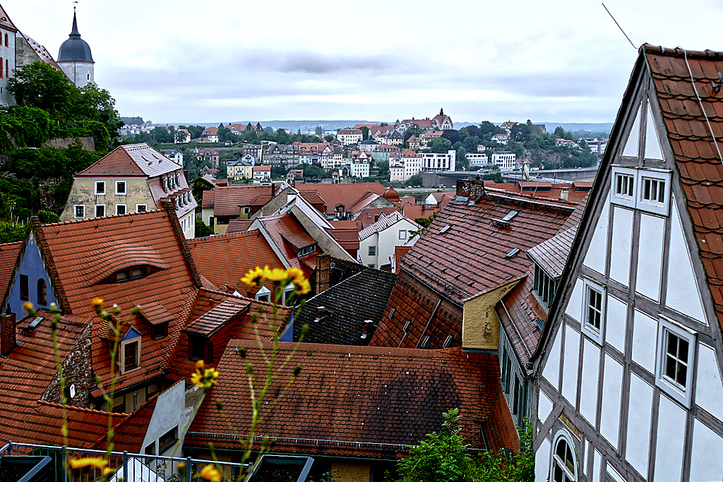View of Meissen.