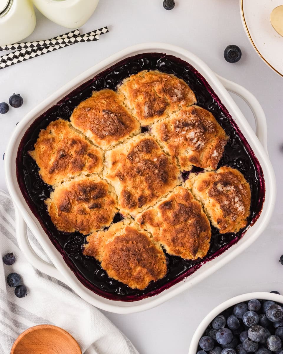 Freshly baked gluten-free blueberry cobbler in a white square baking dish with golden biscuit topping and bubbling blueberry filling.