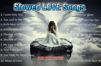Slowed Love Songs New Relaxing Playlist [SLOW POP MUSIC] NiExshadow | English Sad Songs, Acoustic