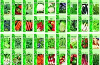 Vegetable Seeds Herb Fruit Simply Garden Grow your Own Indoor Outdoor Fresh