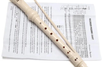 Traditional Recorder Beginner Musical Instrument and Instructions & Cleaning Rod