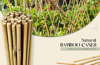 2ft – 6ft Bamboo Canes Strong Heavy Duty Garden Stick Thick Plant Flower Support