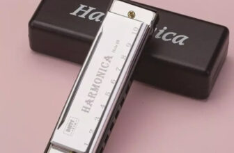 10 Hole Harmonica Mouth Organ Puzzle Musical Instrument Beginner Teaching Copper