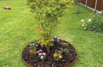 Garden Tree Rings | 3 Sizes: 600mm, 900mm, 1200mm | Variety of Colours