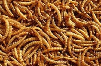 UK Dried Mealworms – Premium – Garden Bird – In Sealed Bags – Sold In Litres