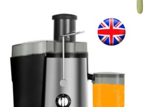 800W Juicer Machine Whole Fruit Vegetable Juice Extractor Stainless Steel 500 ML