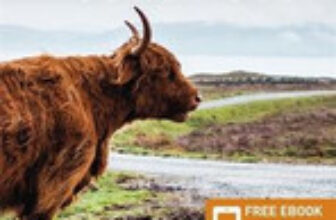 The Rough Guide to the North Coast 500 (Compact Travel Guide … – 9781839058530