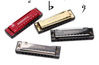 10 Hole Harmonica Mouth Organ Puzzle Musical Instrument Beginner Teaching Gift
