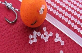 1000 CLEAR BOILIE BAIT STOPS CARP BARBEL COARSE MATCH TERMINAL FISHING TACKLE