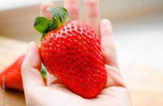 50 Giant Strawberry Seeds – Sweet And Delicious – Large Garden Fruit Plant
