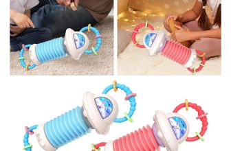 Cartoon Accordion Musical Toy Music Accordion Instrument Toy Musical Toy Sensory