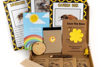 Save The Bees Activity Pack For Kids Grow Your Own For Children Garden Gifts