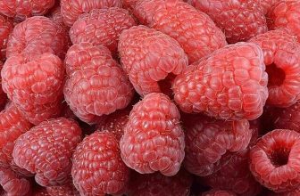 Giant Red Raspberry Seeds, Garden Fruit Plant Seeds, Juicy And Delicious, UK