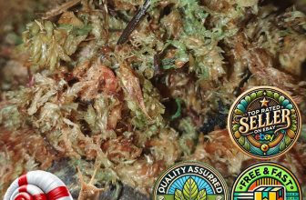 Sphagnum Moss for Hanging Baskets Planters Gardening Growing Orchid Propagation