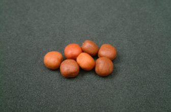 Enterprise Tackle Imitation Pop-up Maple Pea Bait Carp Barbel Coarse Fishing