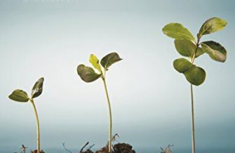 Developing Skills for Business Leadership By Gillian Watson, St .9781843983163