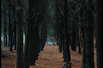 Cumbre del centinela