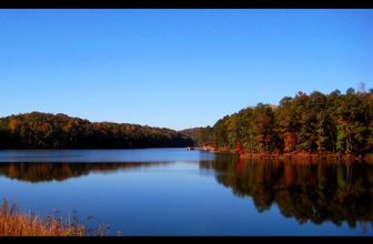 As we express our gratitude, we must never forget that the highest appreciation is not to utter words, but to live by them.  ~John Fitzgerald Kennedy