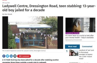 digdat stabbing 13yr