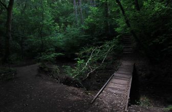 Derwent Walk Country Park, Thornley Wood, Gateshead, Tyne & Wear, England.