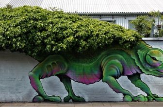 Street Art/Graffiti.