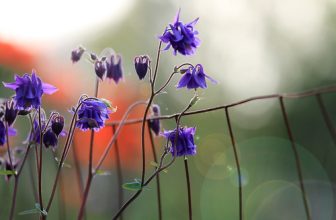 As we express our gratitude, we must never forget that the highest appreciation is not to utter words, but to live by them..