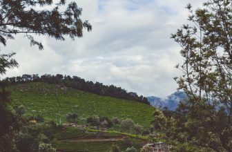 Top 10 Must-Visit Travel Destinations in Incredible India