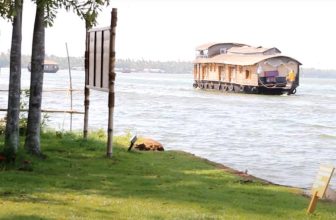 Discover the Entrancing Backwaters of Kerala : a journey through Serenity