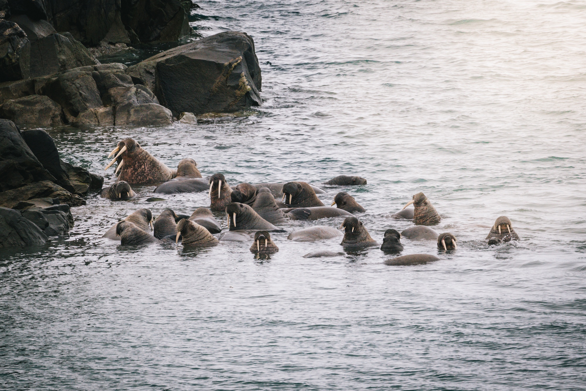 travel the Northwest Passage