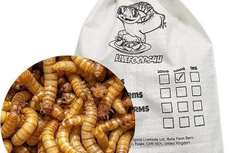 Live Regular Mealworms Bulk Bag 500g 20-25mm Livefoods Reptiles Wild bird Fish