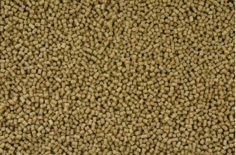2mm micro pellets ideal for method feeders carp coarse fishing