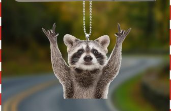 Raccoon Bear Key Pendant Acrylic Car Animal Keyring Cute Raccoon Keychain Ring S