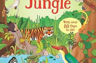 Look Inside the Jungle (Look Inside Board Books) By Minna Lacey,Brendan Kearney