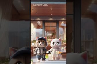 Big brother cat prank #cat #funny #comedy #edit