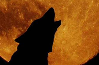 The Spiritual Meaning of the “Wolf Moon”