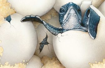 Kids’ Book Review: Review: Hatch