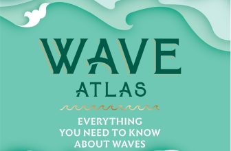 Everything You Need To Know About Waves