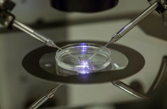 Över 80 holländska spermadonatorer har fått minst 25 barn vardera