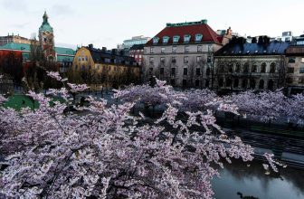Ståhlis: Allt har sin tid, tids nog
