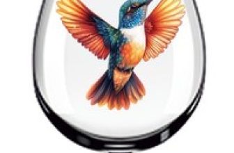 12x Colourful Humming Bird Vinyl Sticker Decal Tumbler Wine Glass Bottle Van Car
