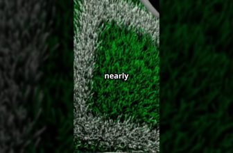 Liverpool vs West Ham Premier League Prediction | 13.04.25