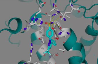 Celecoxib (Celebrex) and other COX-2 Selective Inhibitors