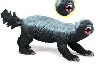 New Honey Badger Animal Toy Pvc Action Figure Kids Toys Party Gifts