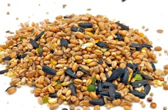 20Kg Love Your Pet Garden Wild Bird Seed Food ideal for feeders and bird tables
